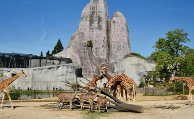 Paris Zoo i Paris